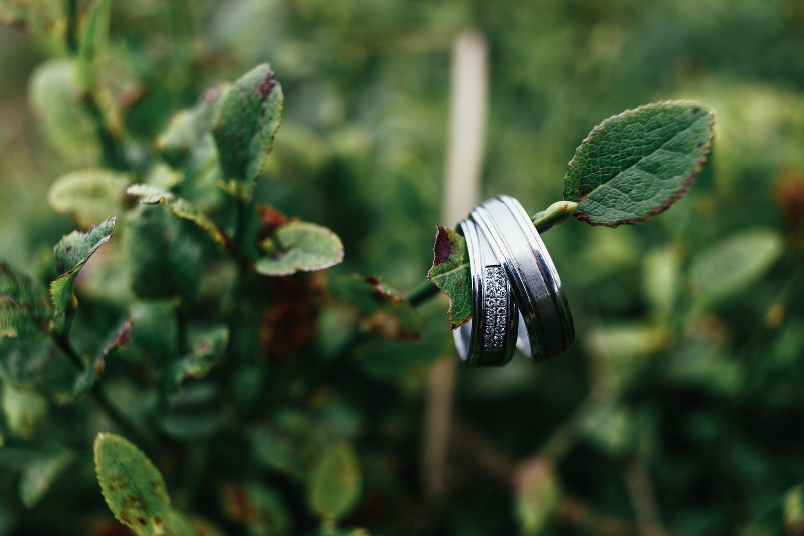 Where love stories become cherished memories